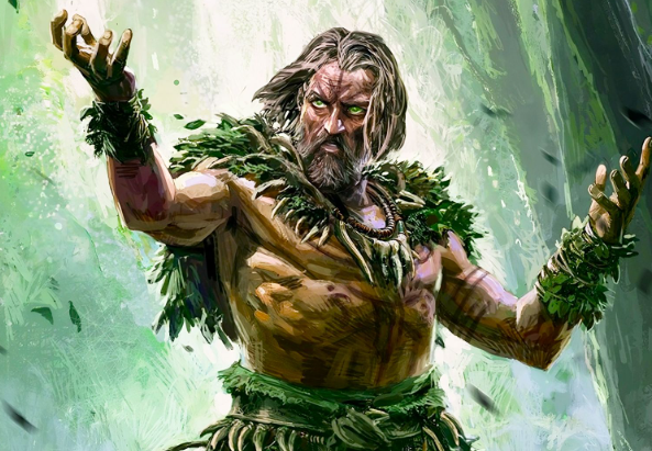 poe2 druid